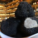 Truffe fraîche Tonneau Gourmand Truffe fraîche Tonneau Gourmand