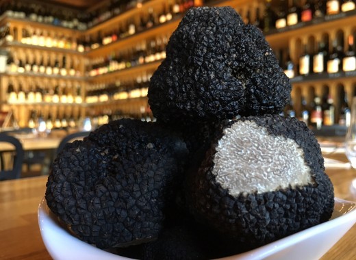 Truffe fraîche Tonneau Gourmand Truffe fraîche Tonneau Gourmand