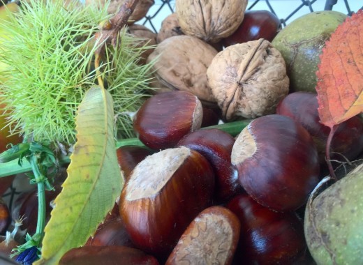 Automne Automne
