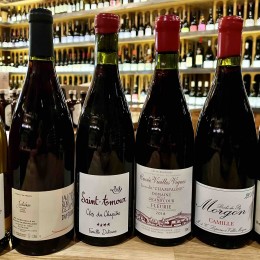 TG-oeno-degustation-crus-beaujolais